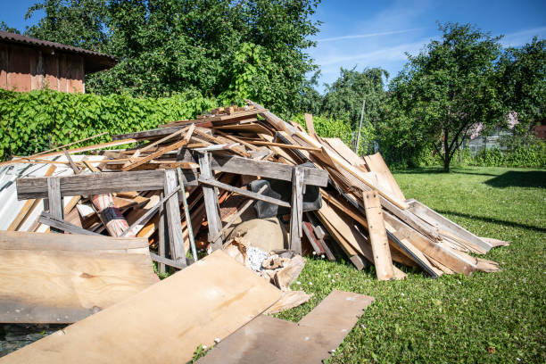 Best Carpet Removal and Disposal  in Lakefield, MN
